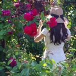 きたやま　りこ